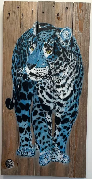 Jaguar bleu