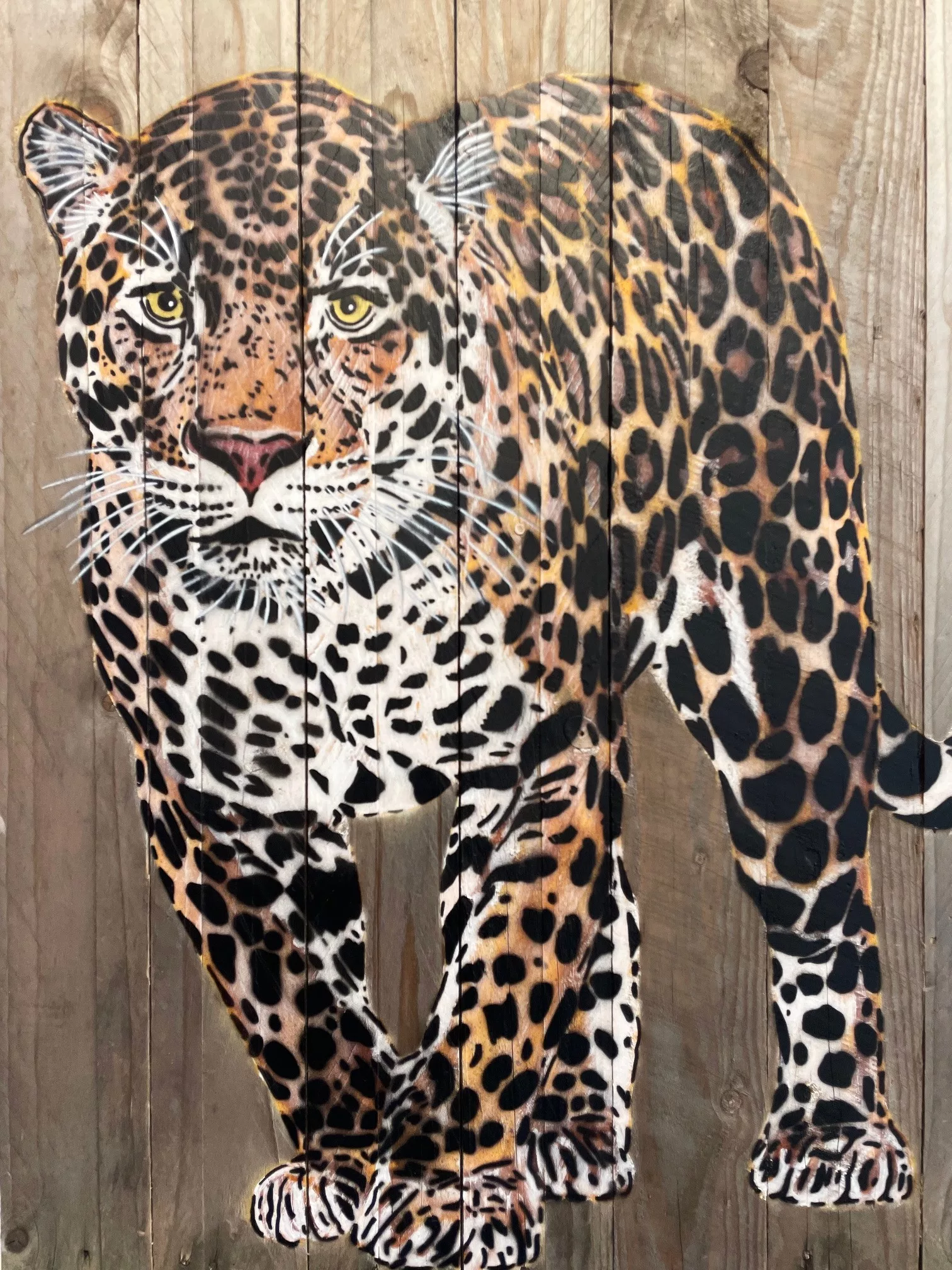 Standing Jaguar, 80x54cm, Mosko, urban art (4)